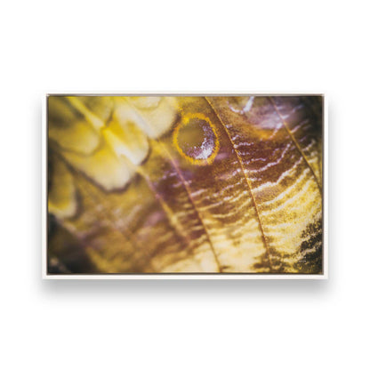 [Color:Opaque White], Picture of art in a White frame