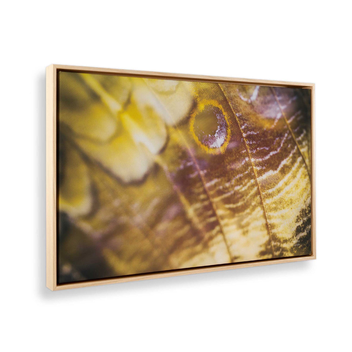 [Color:American Maple], Picture of the corner of the art