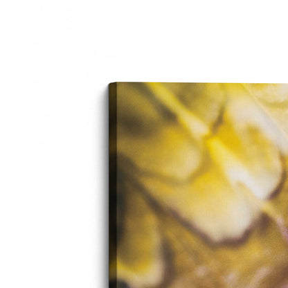 [Color:Stretched Canvas], Picture of the corner of the art