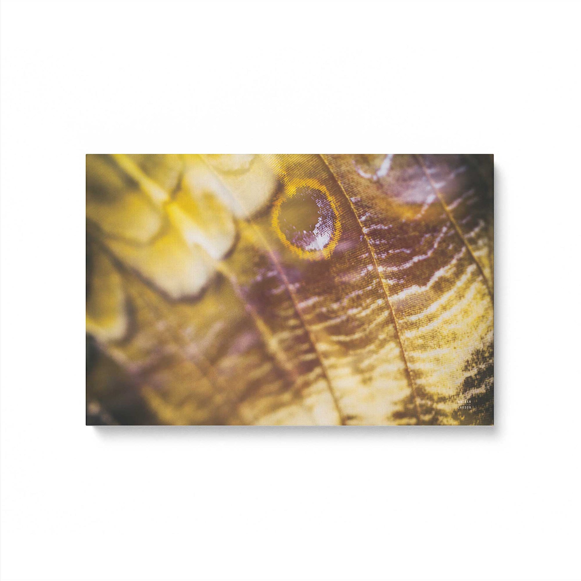 [Color:Stretched Canvas], Picture of art