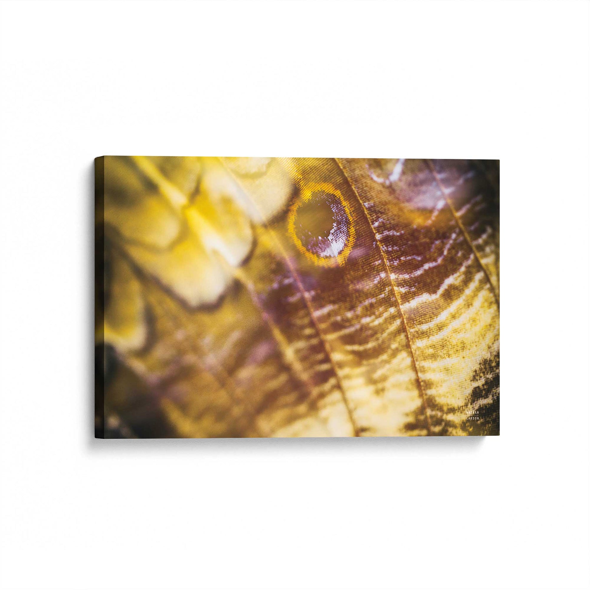 [Color:Stretched Canvas], Picture of art at an angle