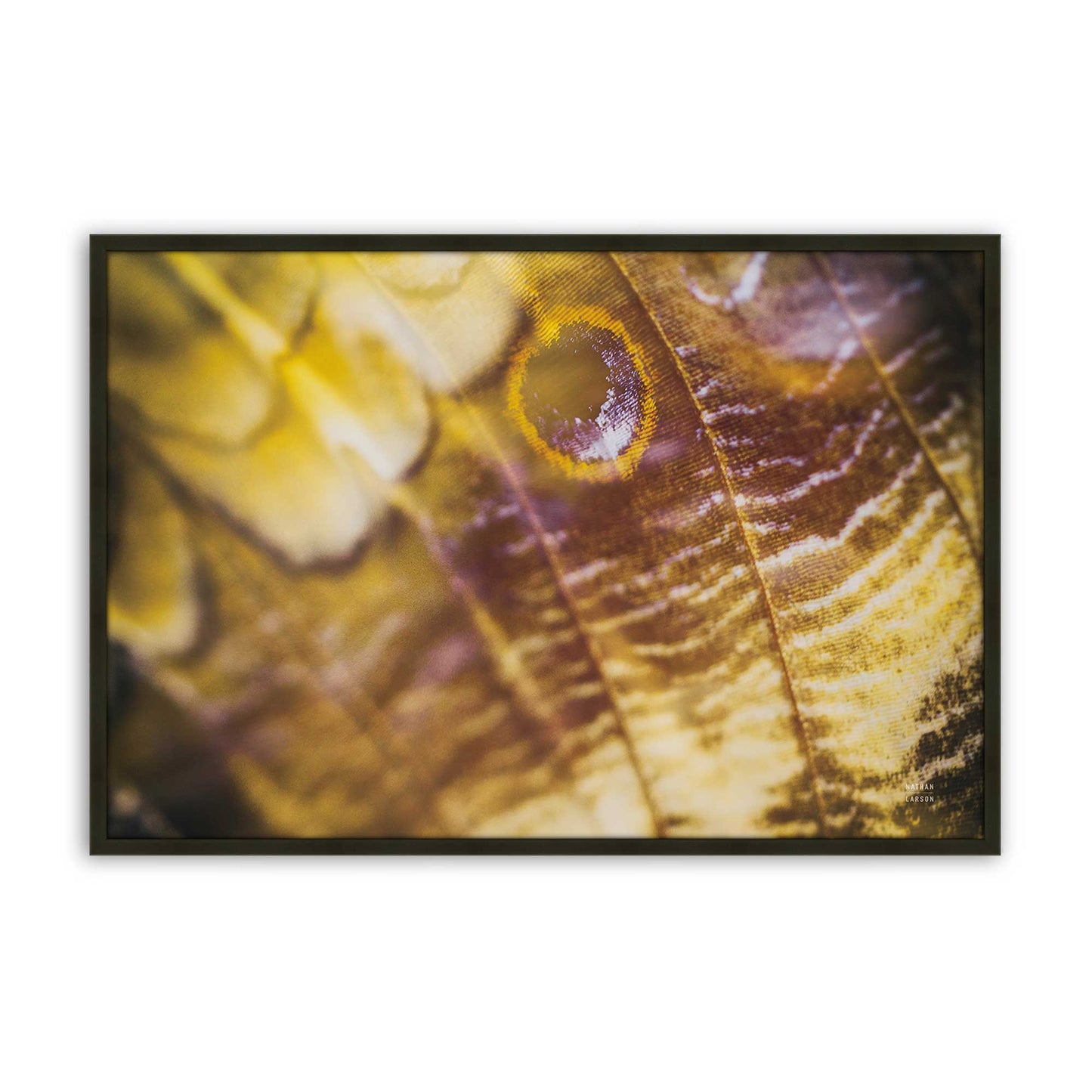 [Color:Satin Black], Picture of art in a Satin Black frame