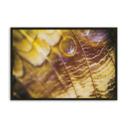 [Color:Satin Black], Front of the art