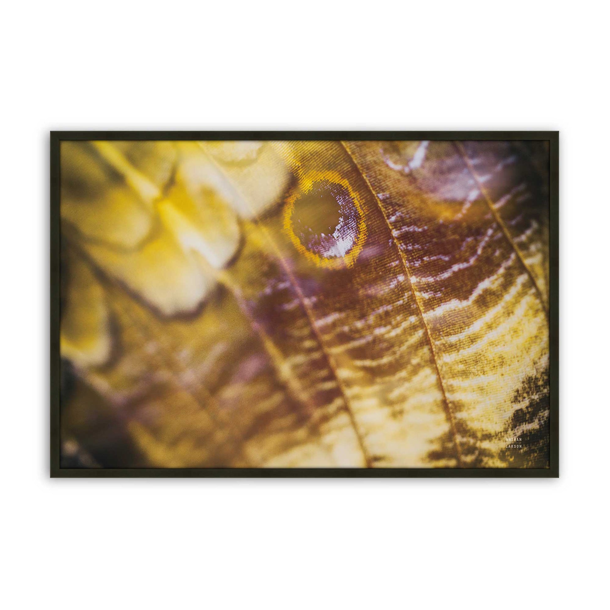 [Color:Satin Black], Picture of art in a Satin Black frame