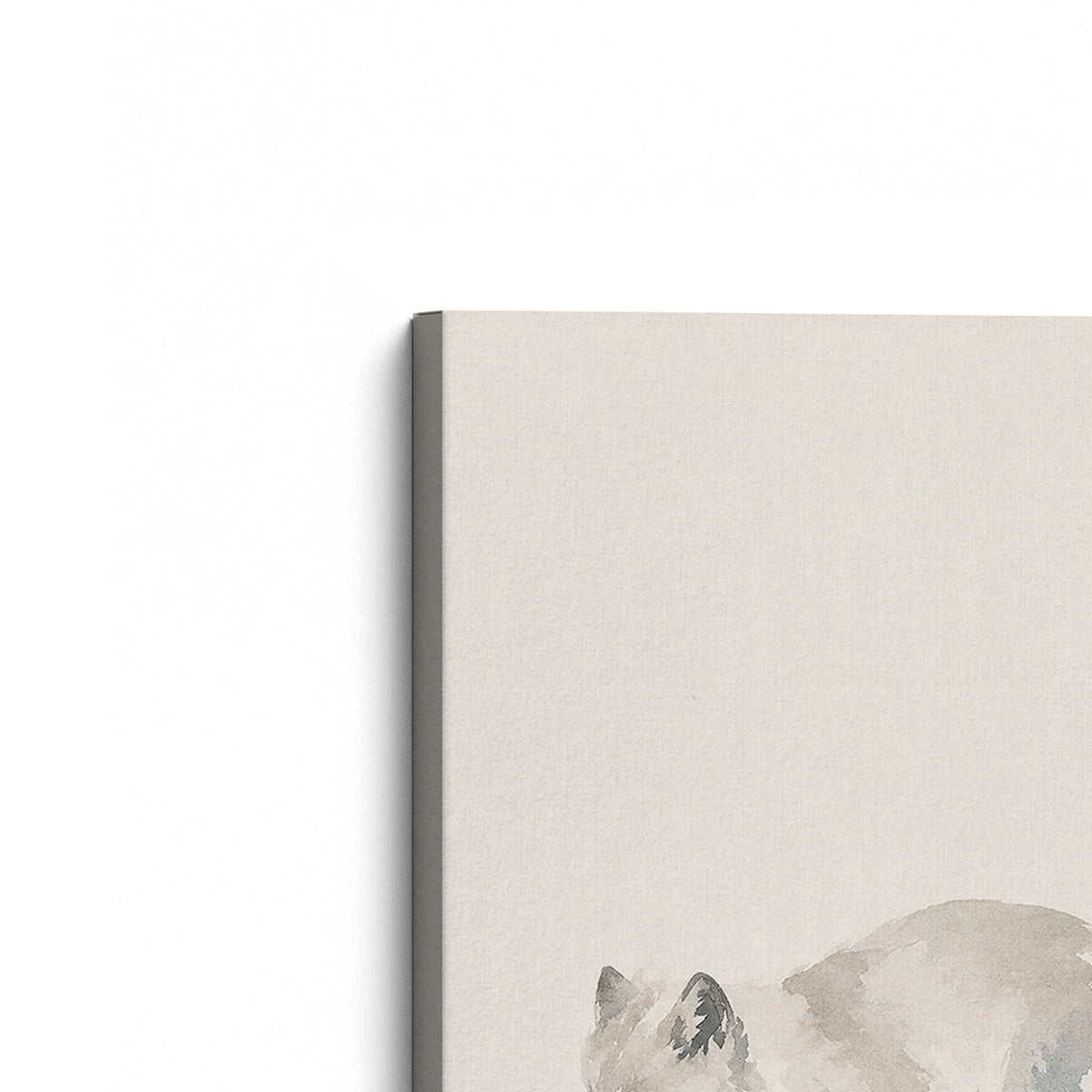 [Color:Stretched Canvas], Picture of the corner of the art