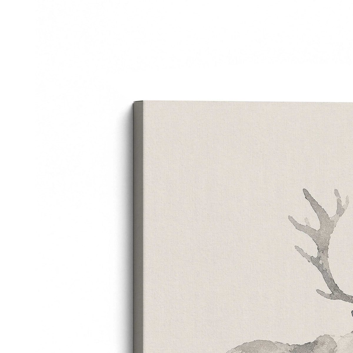 [Color:Stretched Canvas], Picture of the corner of the art