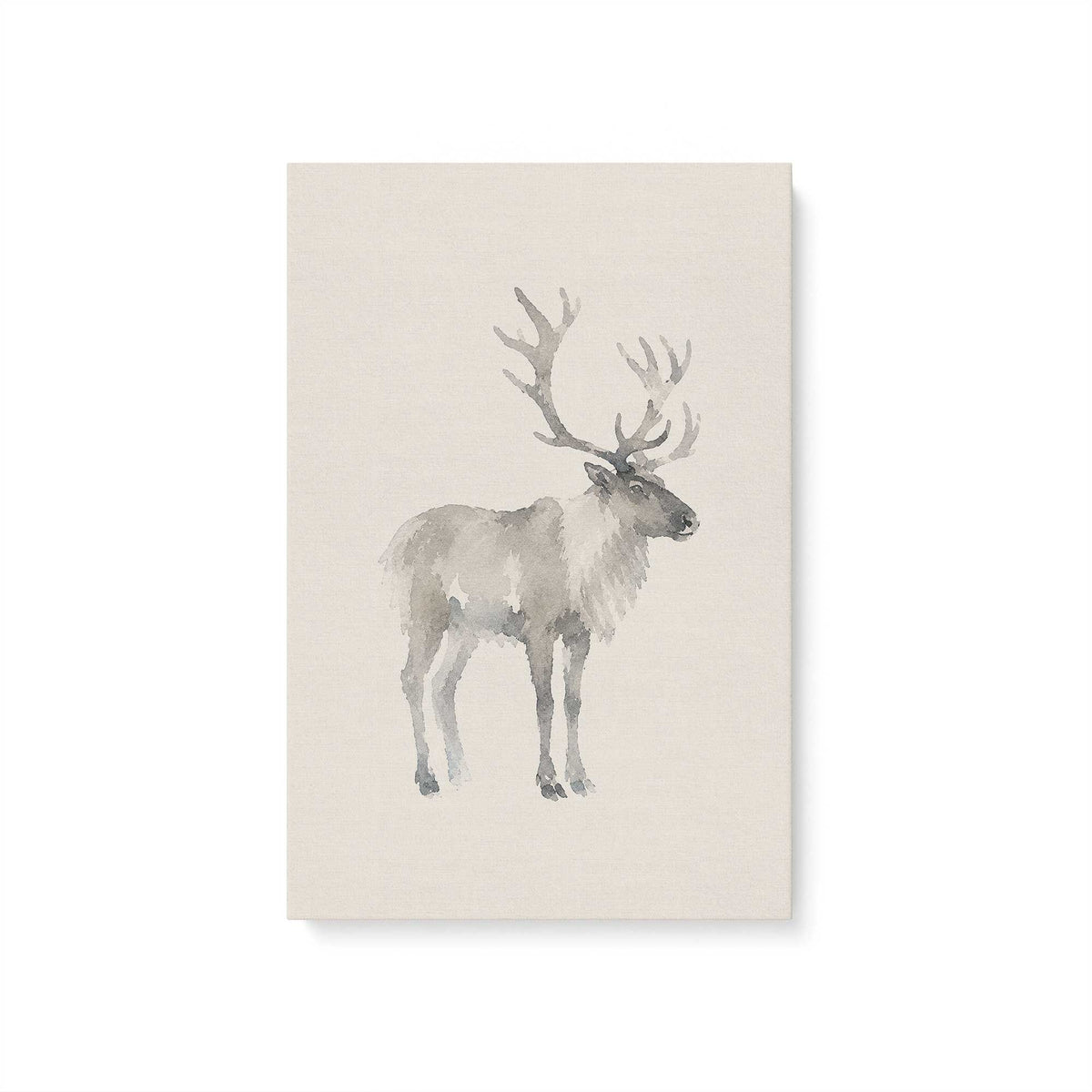 [Color:Stretched Canvas], Picture of art
