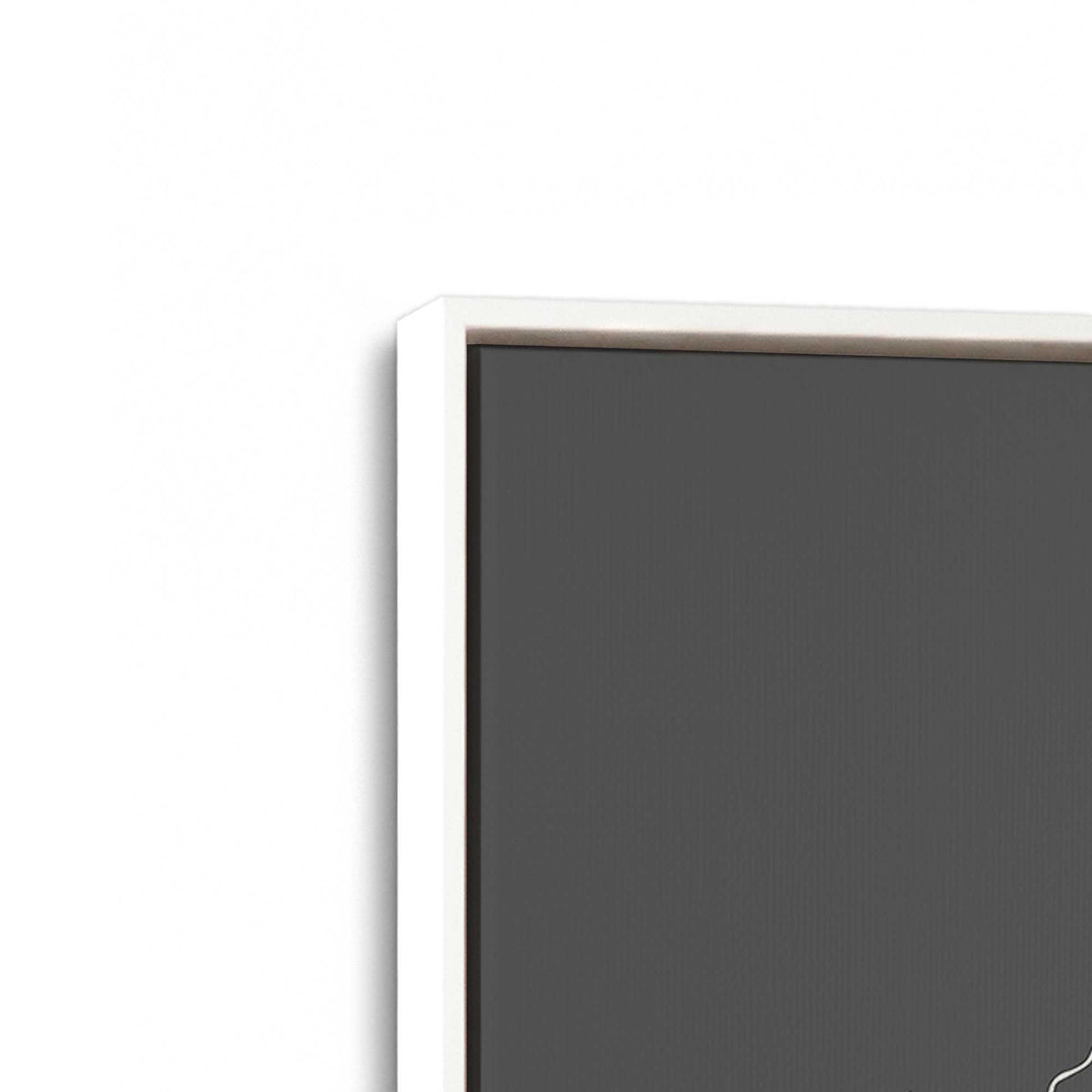 [Color:Opaque White], Picture of art in a White frame at an angle
