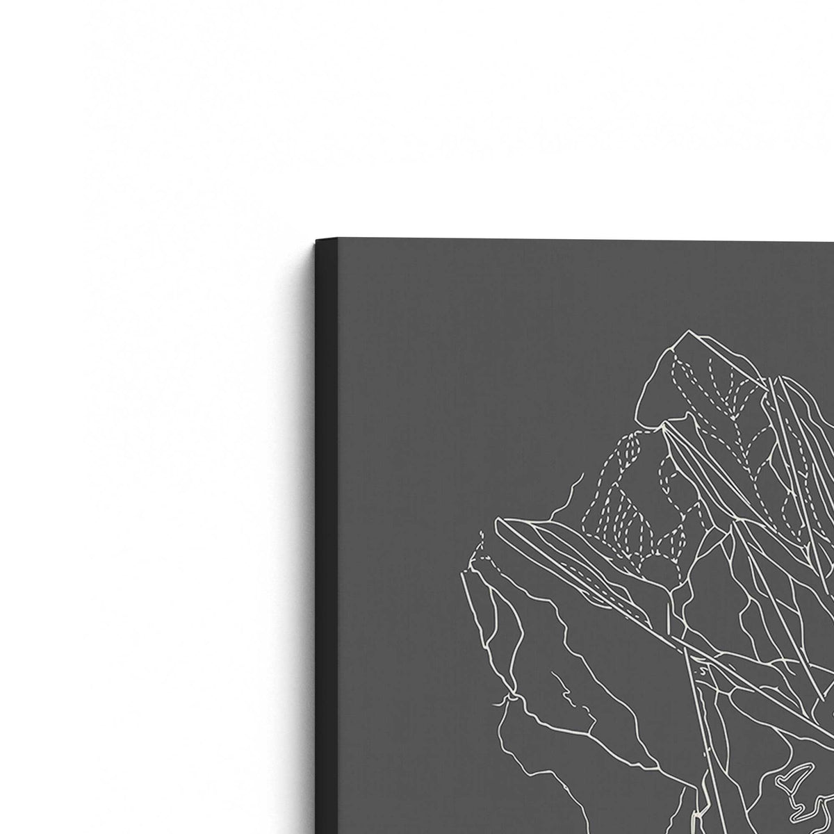 [Color:Stretched Canvas], Picture of the corner of the art