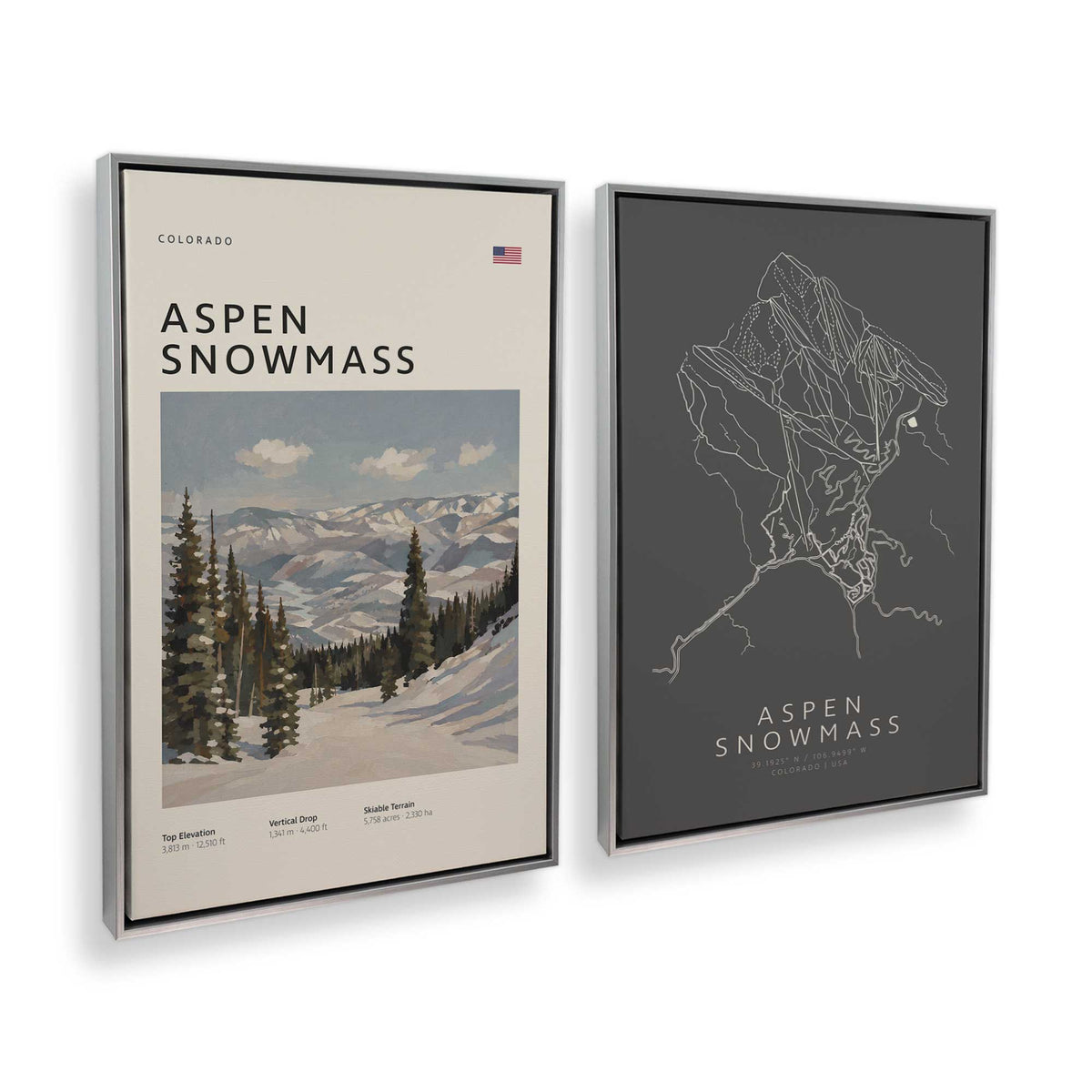 [Color:Polished Chrome], Picture of art in a Polished Chrome frame at an angle