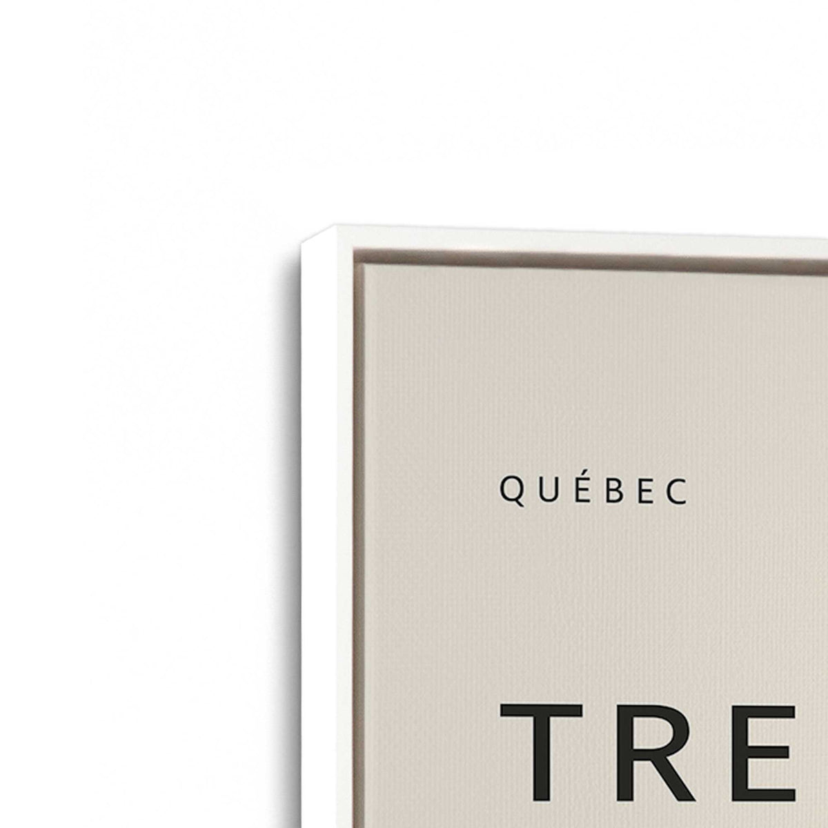 [Color:Opaque White], Picture of the corner of the art