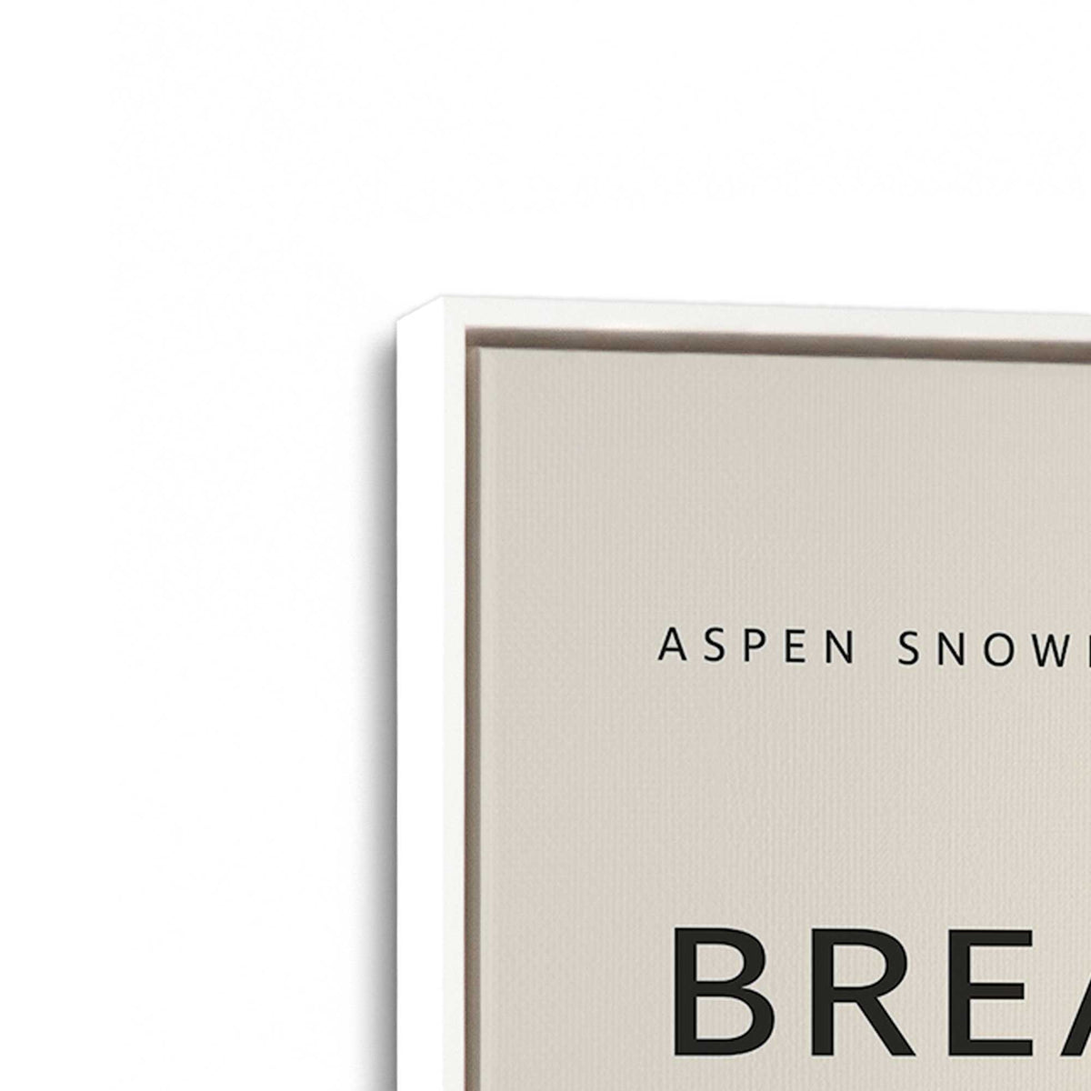 [Color:Opaque White], Picture of the corner of the art