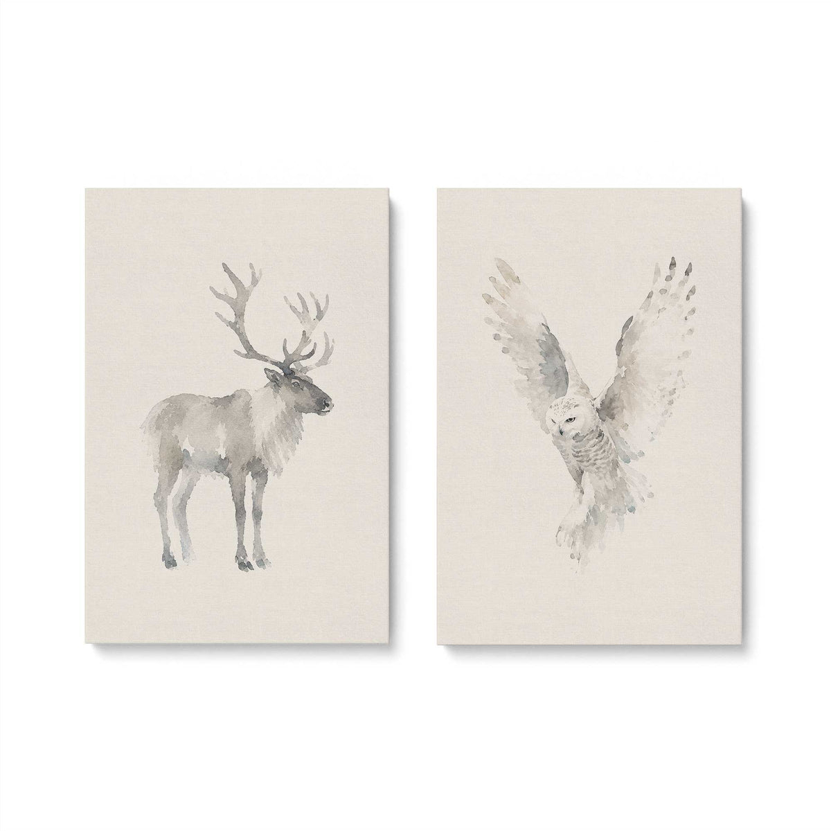 [Color:Stretched Canvas], Picture of art