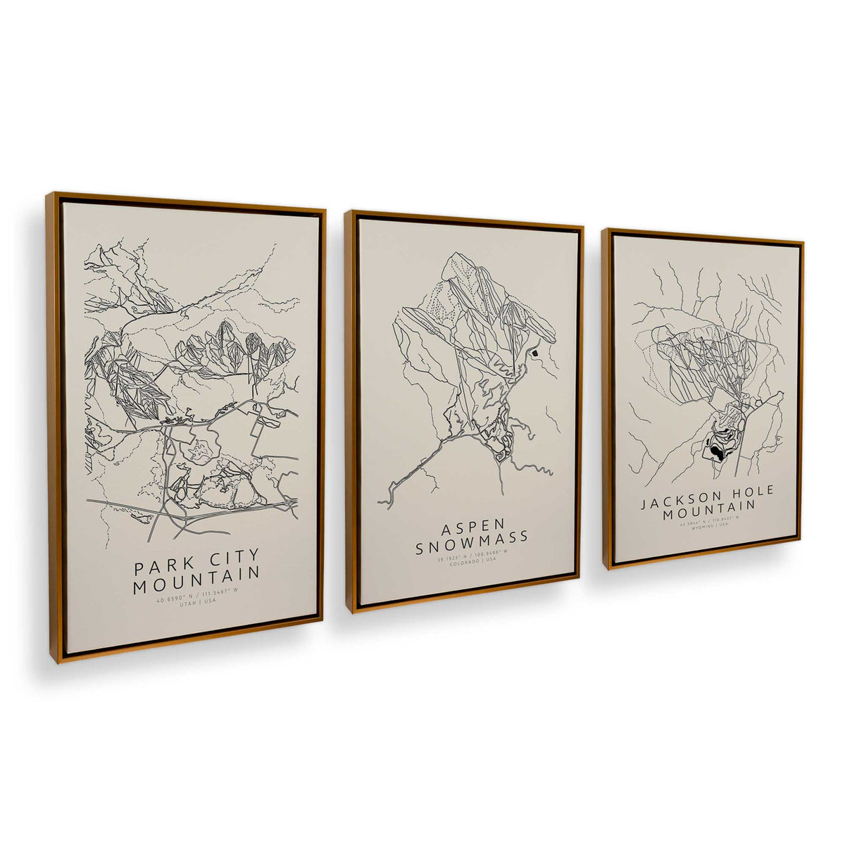 [Color:Polished Gold], Picture of art in a Polished Gold frame at an angle