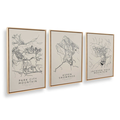[Color:American Maple], Picture of art in an American Maple frame at an angle