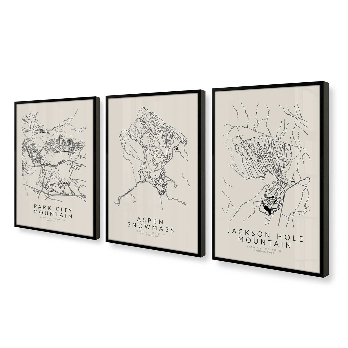 [Color:Satin Black], Picture of art in a Satin Black frame at an angle