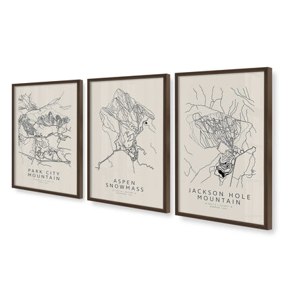 [Color:Belvinder Brown], Picture of art in a Belvinder Brown frame at an angle
