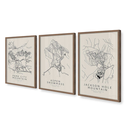[Color:Walnut], Picture of art in a Walnut frame at an angle