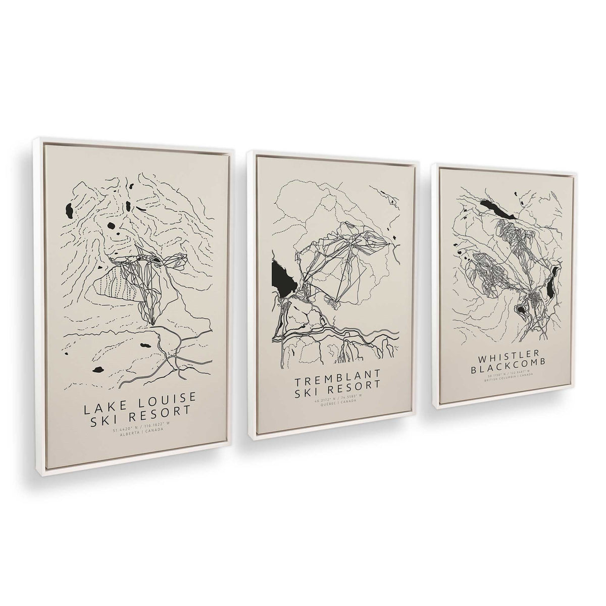 [Color:Opaque White], Picture of art in a White frame at an angle