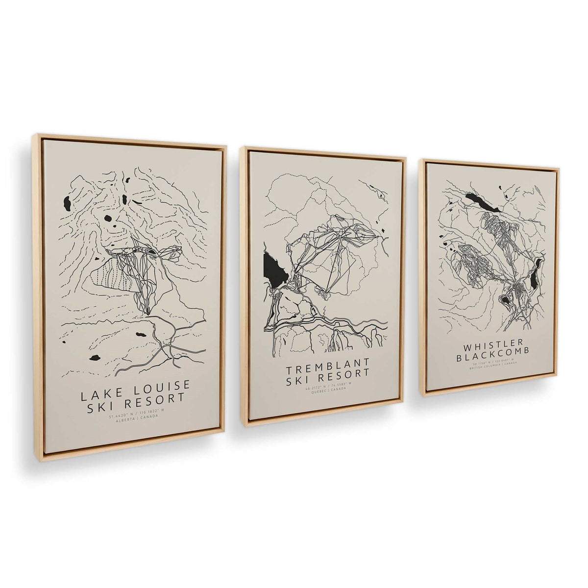 [Color:American Maple], Picture of art in an American Maple frame at an angle