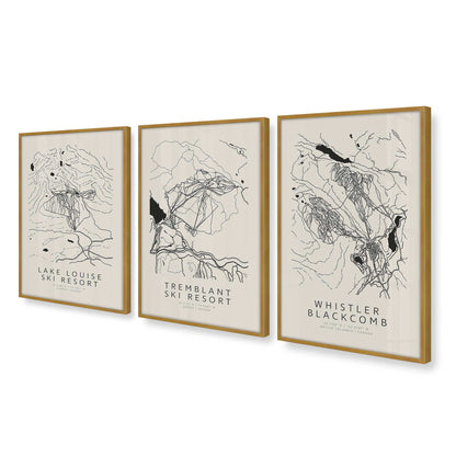 [Color:Polished Gold], Picture of art in a Polished Gold frame at an angle