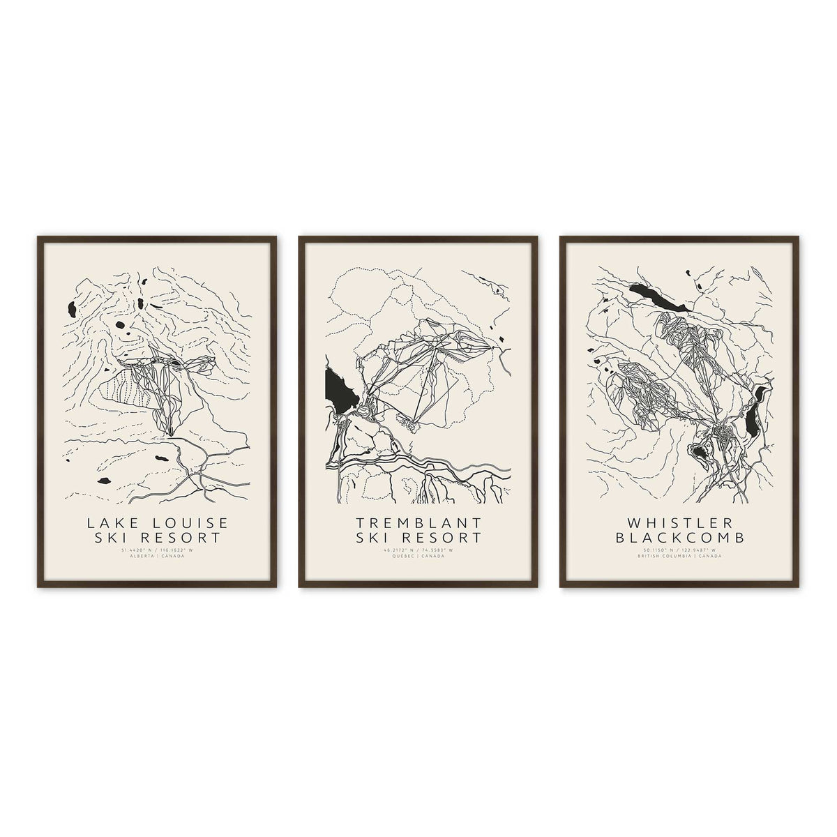[Color:Belvinder Brown], Picture of art in a Belvinder Brown frame