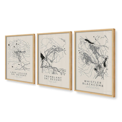 [Color:American Maple], Picture of art in an American Maple frame at an angle
