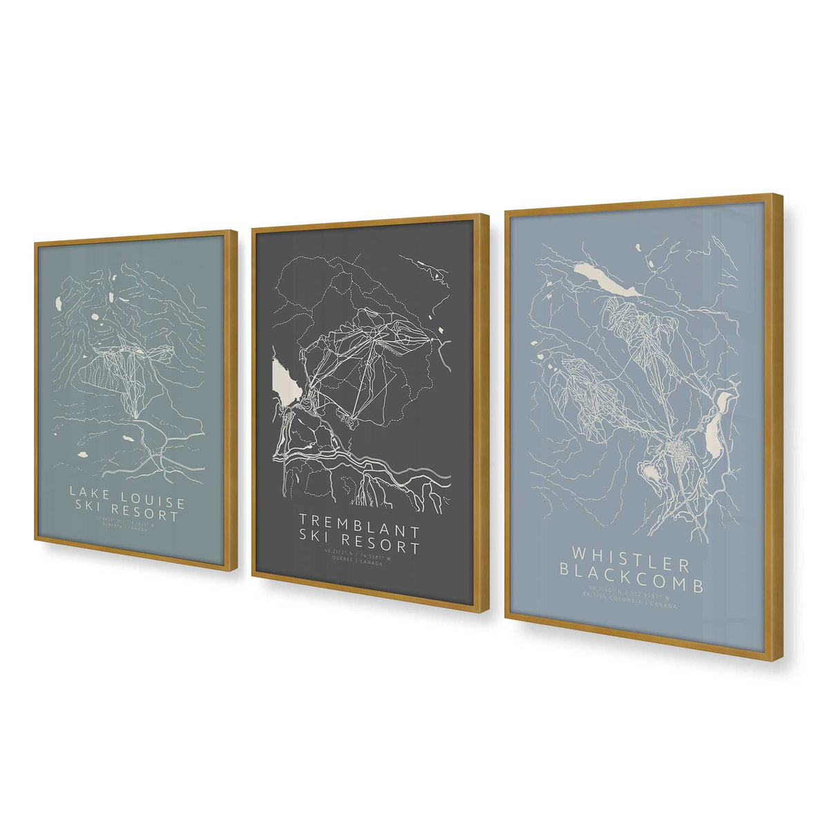 [Color:Polished Gold], Picture of art in a Polished Gold frame at an angle