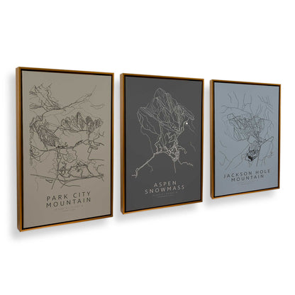 [Color:Polished Gold], Picture of art in a Polished Gold frame at an angle