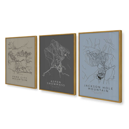 [Color:Polished Gold], Picture of art in a Polished Gold frame at an angle