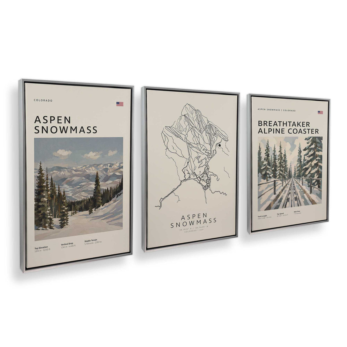 [Color:Polished Chrome], Picture of art in a Polished Chrome frame at an angle