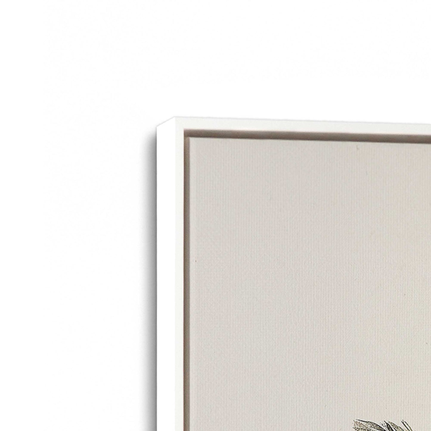 [Color:Opaque White], Picture of art in a White frame at an angle