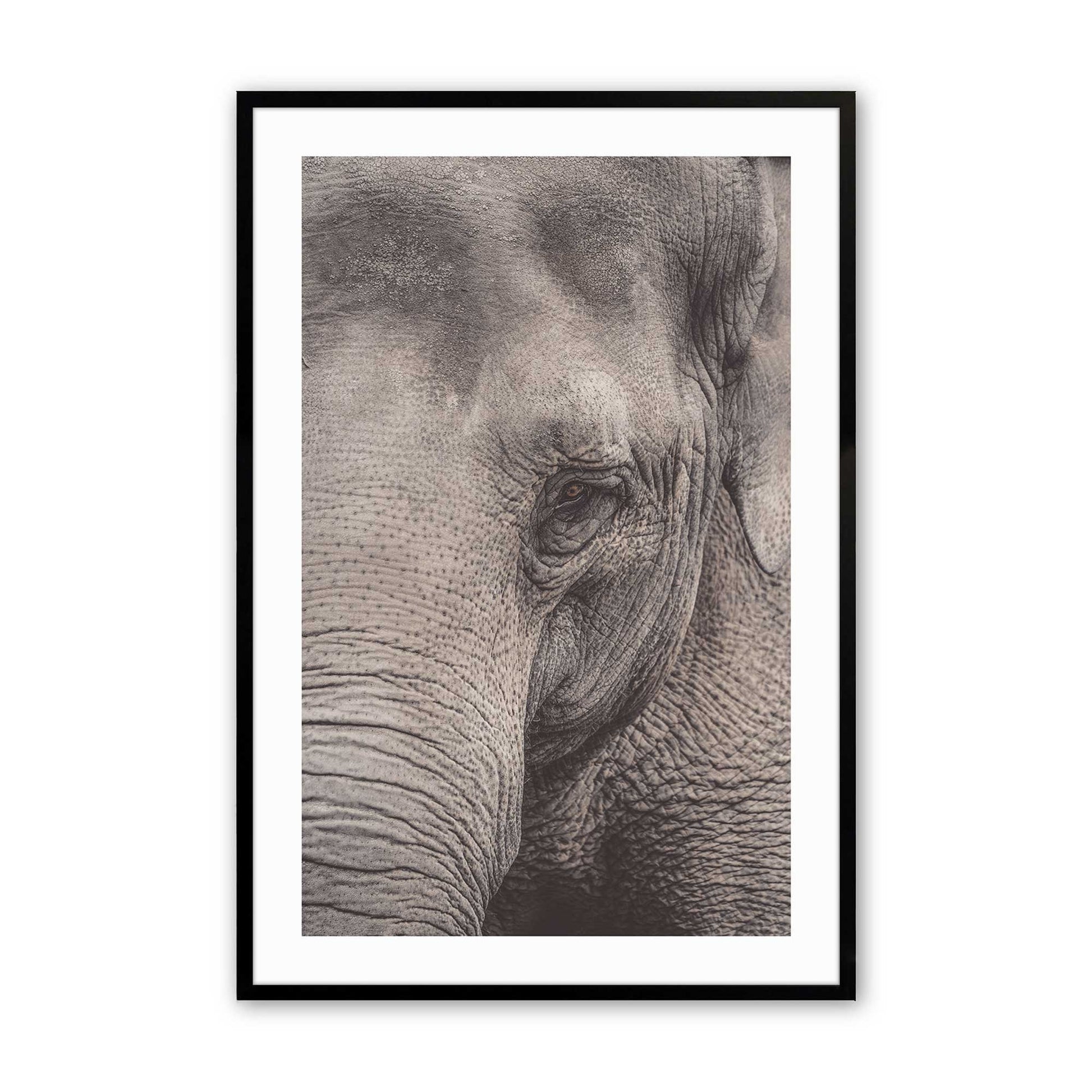 [Color:Satin Black],Front image of the art