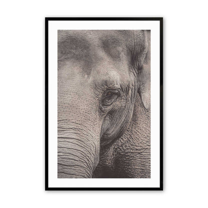 [Color:Satin Black],Front image of the art