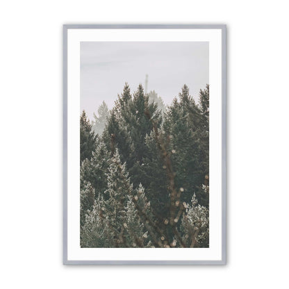 [Color:Polished Chrome], Picture of art in a Polished Chrome frame
