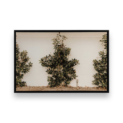[Color:Satin Black] Picture of art in a Satin Black frame