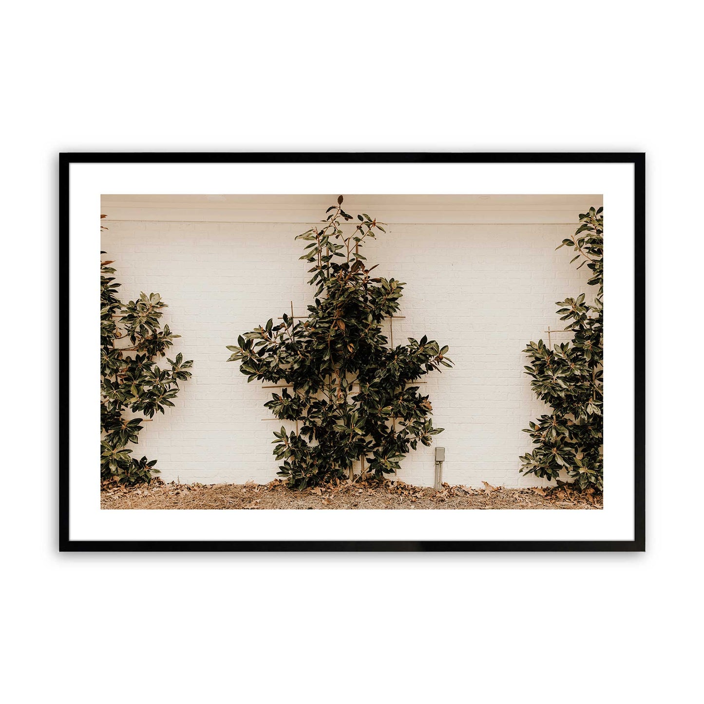 [Color:Satin Black], Picture of art in a Satin Black frame