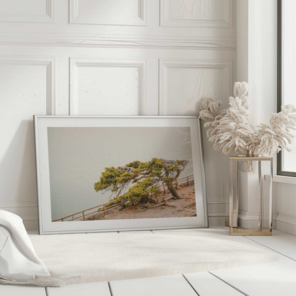 [LIFESTYLE],[SPECIAL],Picture of art in a room