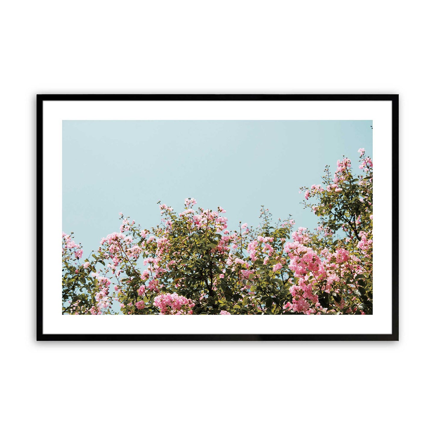 [Color:Satin Black],Front image of the art