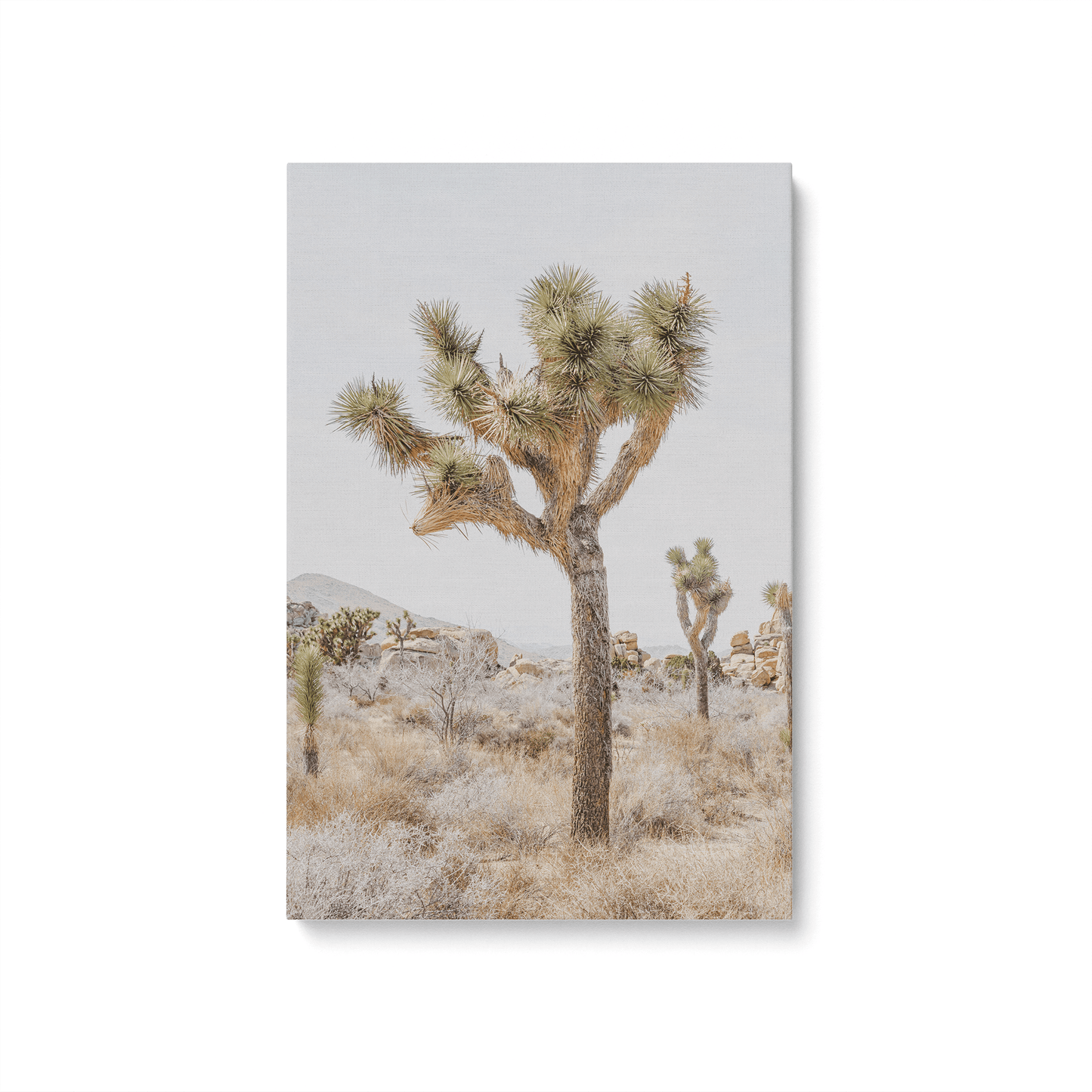 [Color:Stretched Canvas], Picture of art