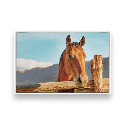[color:Satin White], Picture of art in frame