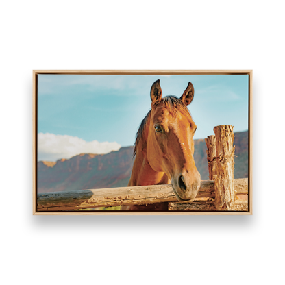 [color:American Maple], Picture of art in frame