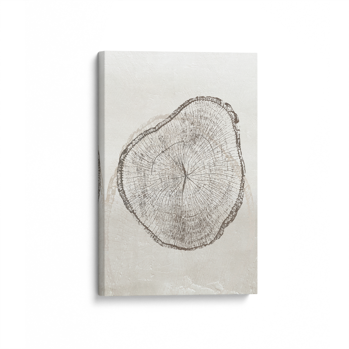 Timeless Tree Rings Canvas Print, Set of 3