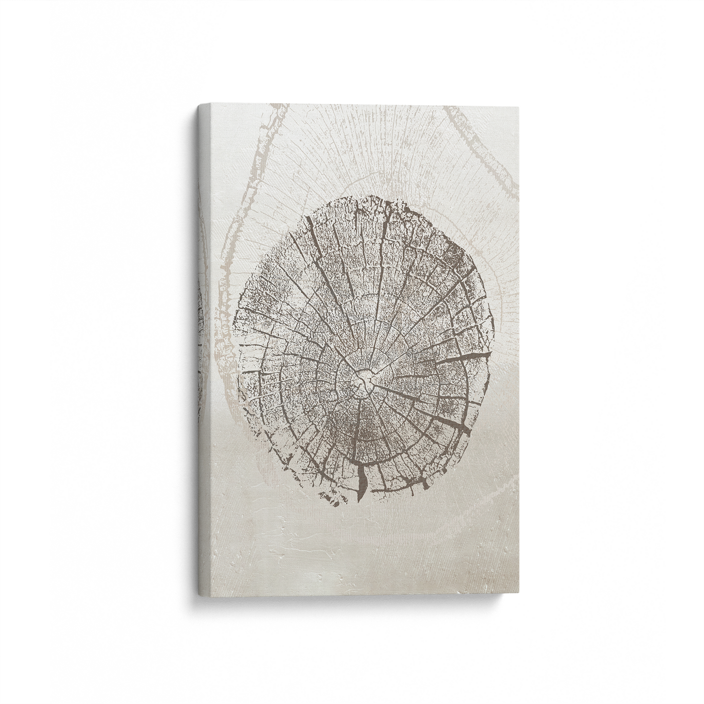Timeless Tree Rings Canvas Print, Set of 3