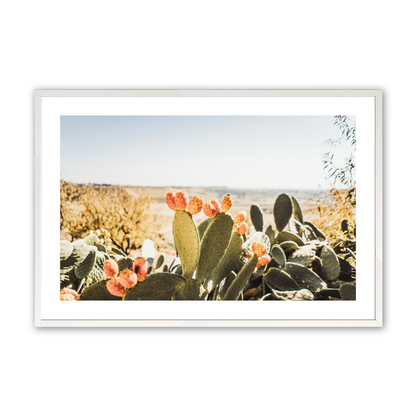 [Color:Opaque White], Art in our Opaque White wood frame