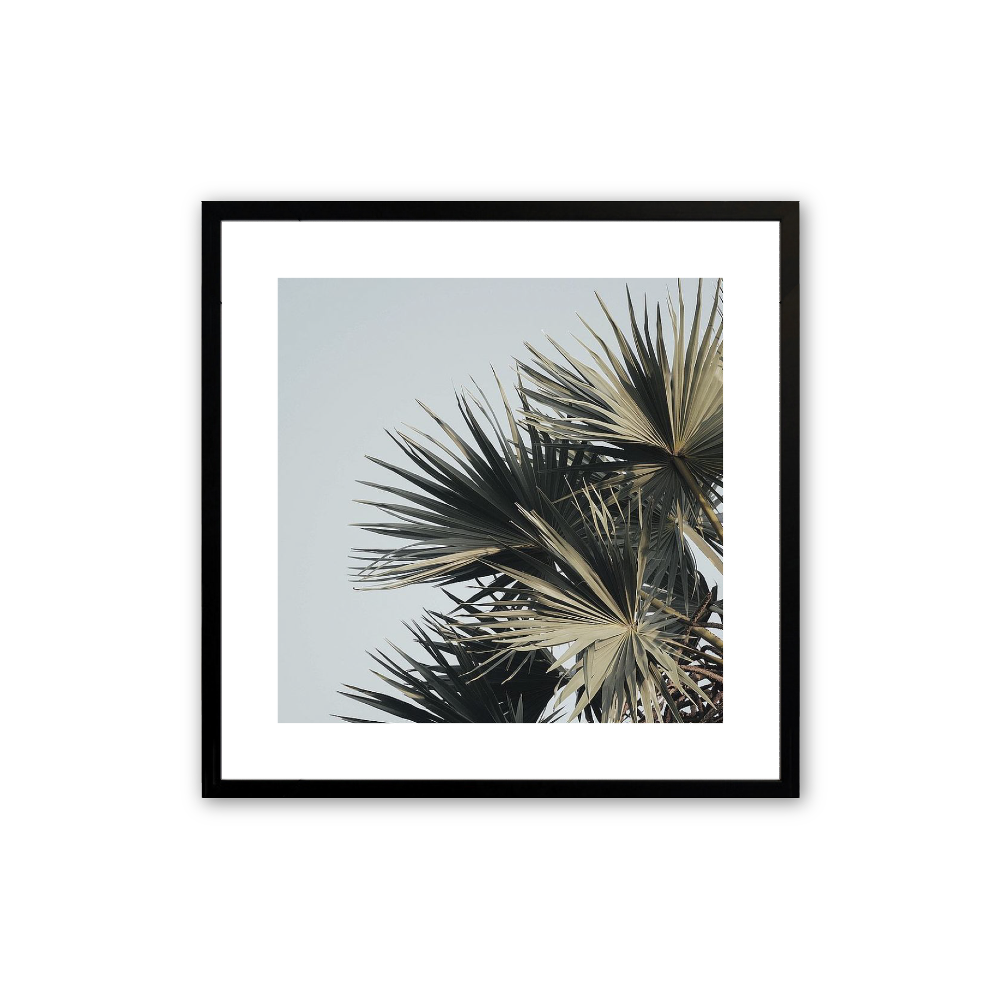[Color:Satin Black],Front image of the art