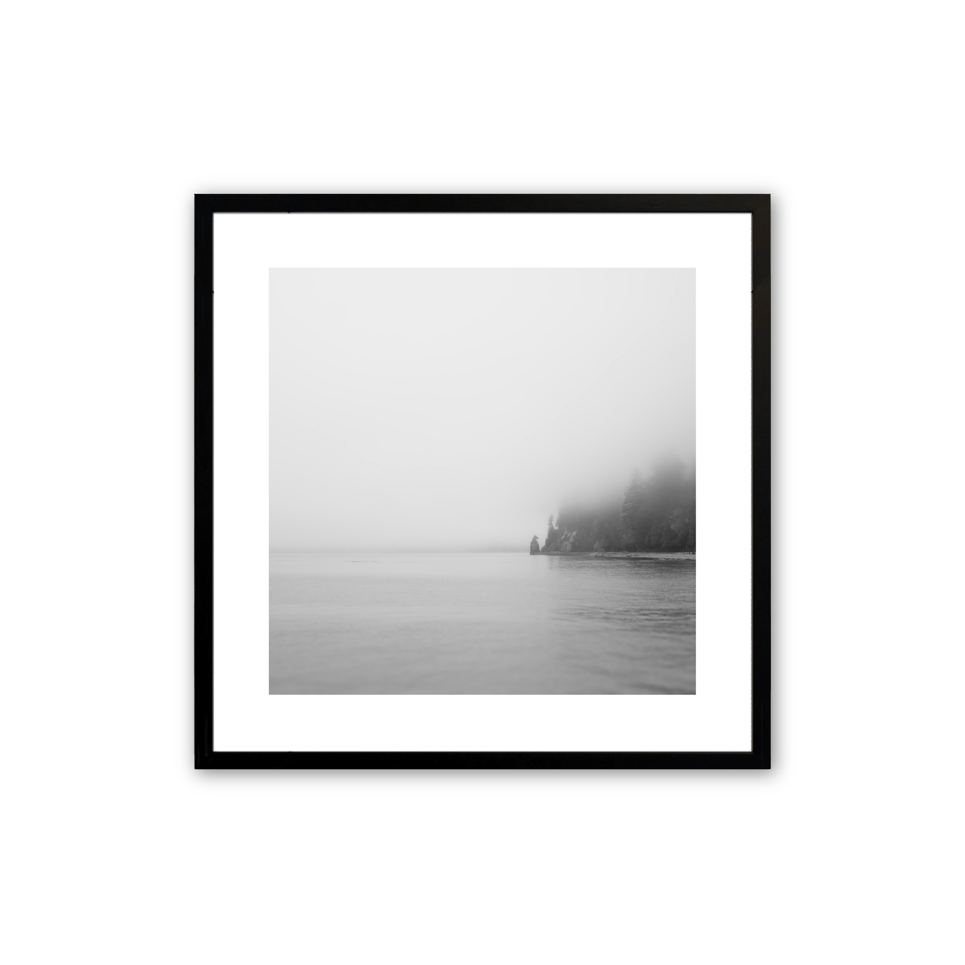 [Color:Satin Black],Front image of the art