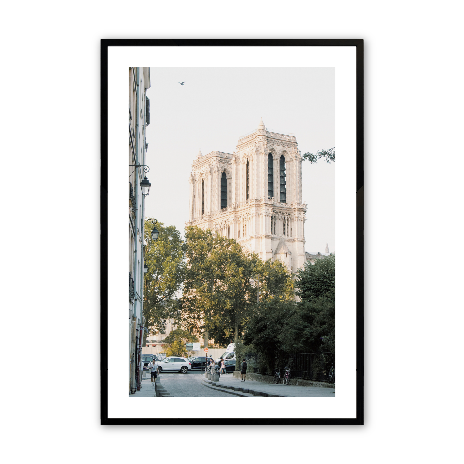 [Color:Satin Black],Front image of the art