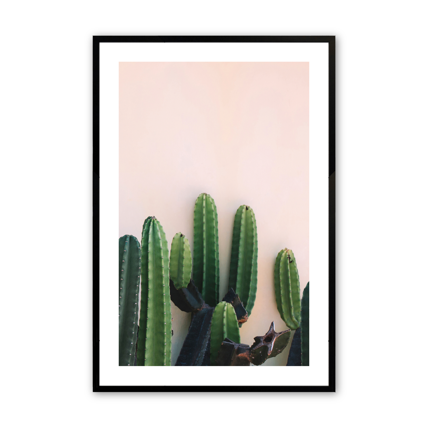 [Color:Satin Black],Front image of the art